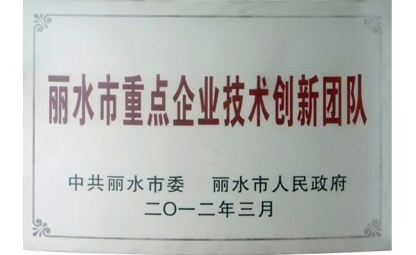 麗水市重點企業(yè)技術(shù)創(chuàng)新團隊